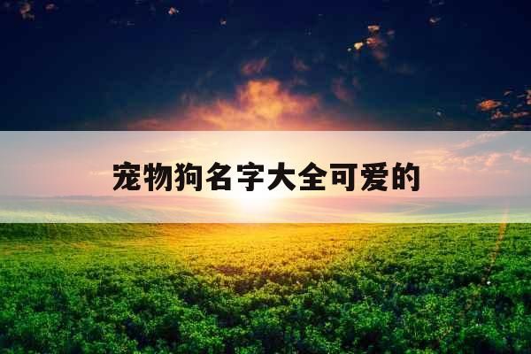 宠物狗名字大全可爱的