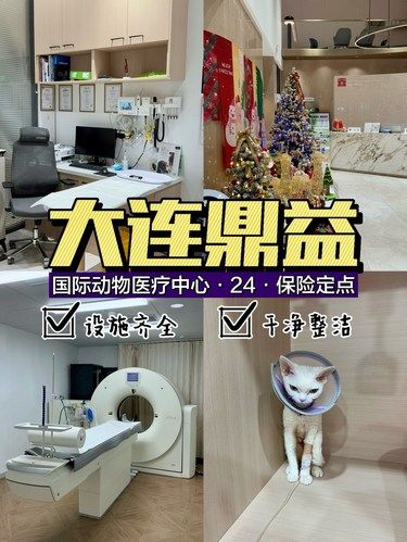 大连宠物医院｜带毛孩子来体检啊