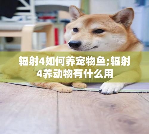辐射4如何养宠物鱼;辐射4养动物有什么用