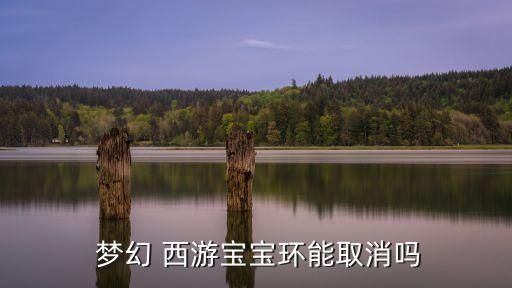 梦幻西游宠环,梦幻西游宠物环怎么跑?