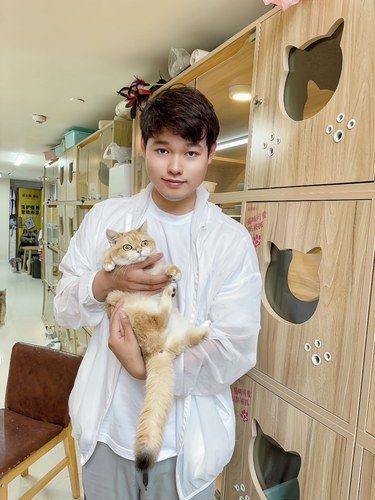 在北京！猫咪控绝对不能错过的猫舍！
