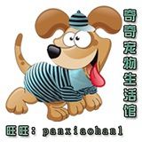奇奇宠物