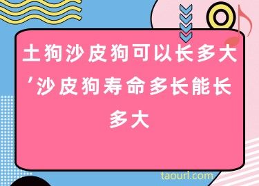 寿命狗的寿命多长_狗的寿命_寿命狗的寿命