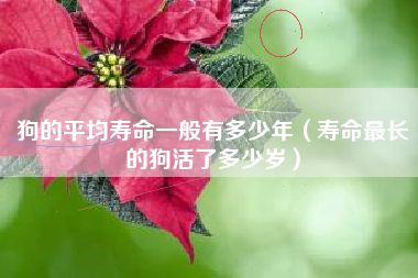 狗的寿命_寿命狗的寿命多长_寿命狗的寿命