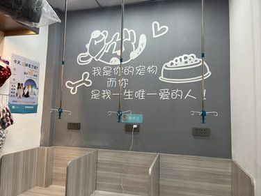 猫咪驱虫记｜尊嘟很不错 