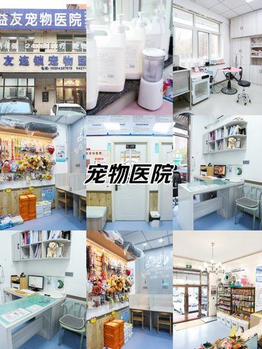 益友连锁 | 毛孩子的温馨港湾