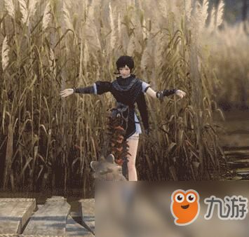 《逆水寒》小浣熊宠物获得方法
