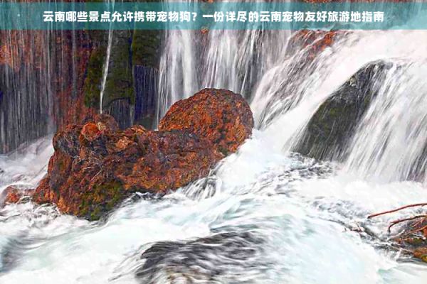 云南哪些景点允许携带宠物狗？一份详尽的云南宠物友好旅游地指南