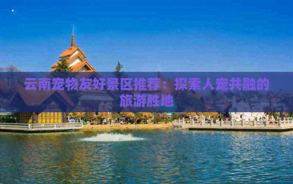 云南宠物友好景区推荐：探索人宠共融的旅游胜地
