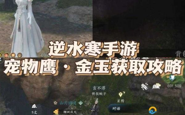 逆水寒手游宠物鹰金玉获得方法全解析 你想知道的都在这里