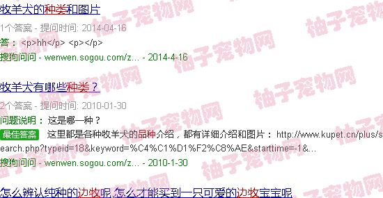 边牧12个品种图
