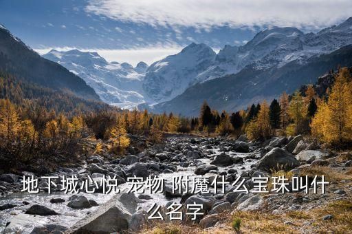 地下城心悦 宠物 附魔什么宝珠叫什么名字