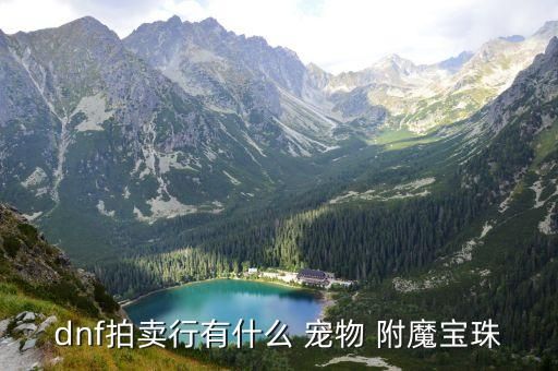 dnf拍卖行有什么 宠物 附魔宝珠