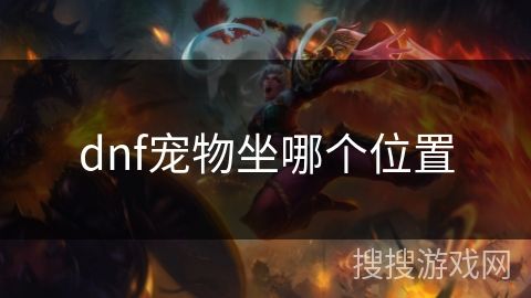 dnf宠物坐哪个位置