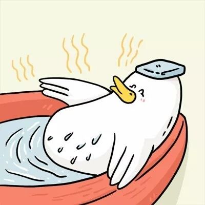 男人黑白头像图集「qq头像宠物图片大全」