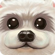 宠物理发师