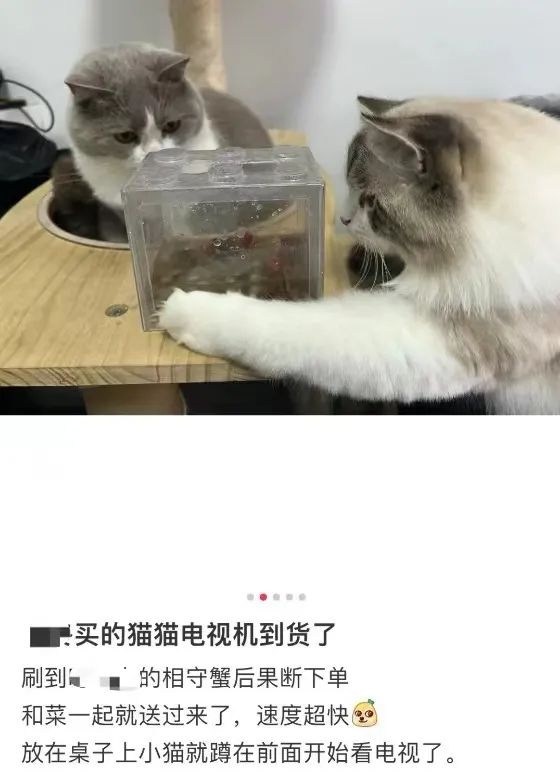 内容图片