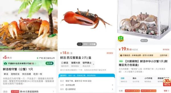 内容图片