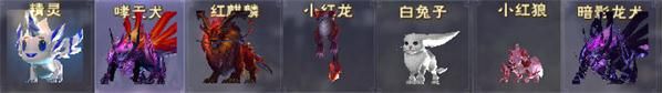 《遇见》宠物捕捉方法介绍