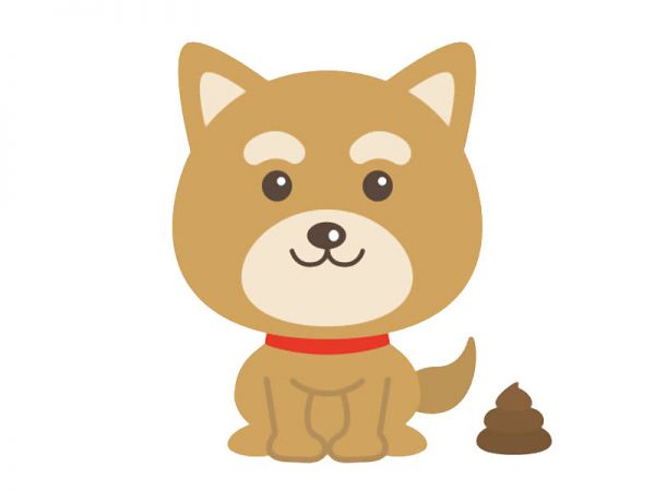 宠物棕色小狗大便狗屎png