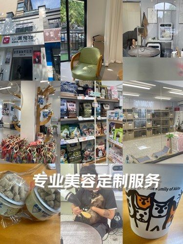 猫咪洗澡时间到！