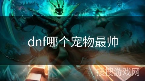 dnf哪个宠物最帅