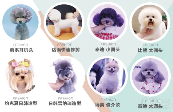 长春C级宠物造型精研班