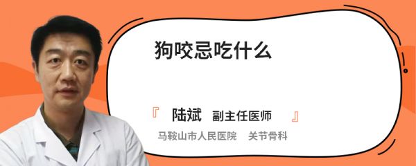 狗咬忌吃什么