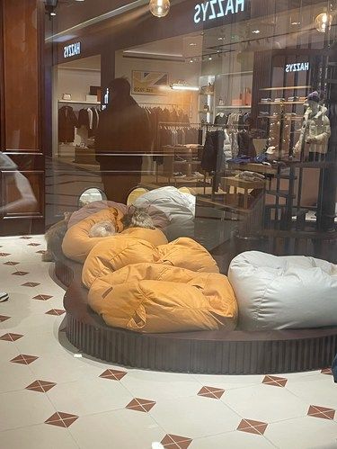 一家猫店。叫超级鸟局