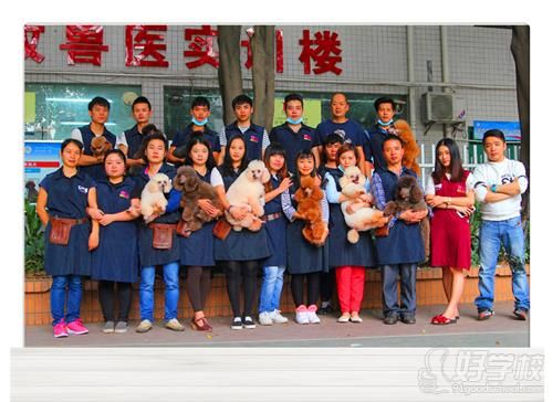 布朗熊学校师生风采.jpg