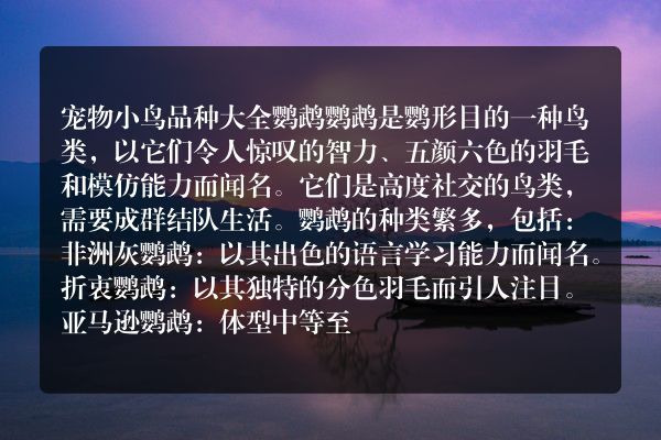 宠物小鸟 品种大全