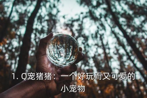 1. Q宠猪猪：一个好玩而又可爱的小宠物