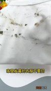 怎么洗掉发霉白t恤