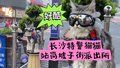 好酷！长沙特警猫猫站岗坡子街派出所