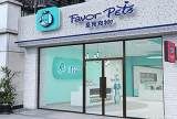 开宠物店为什么要选择品牌加盟 ？