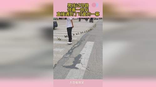 男孩过马路，领着一排兵，直接遇到了可爱的一幕