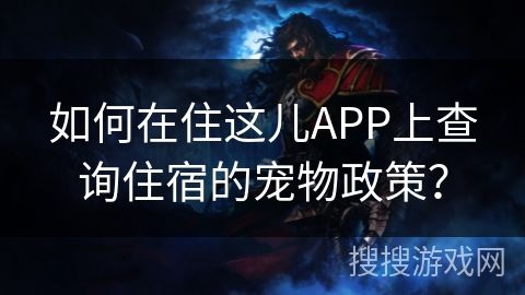 如何在住这儿APP上查询住宿的宠物政策？