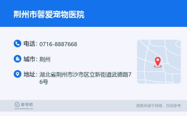 荆州市馨爱宠物医院名片