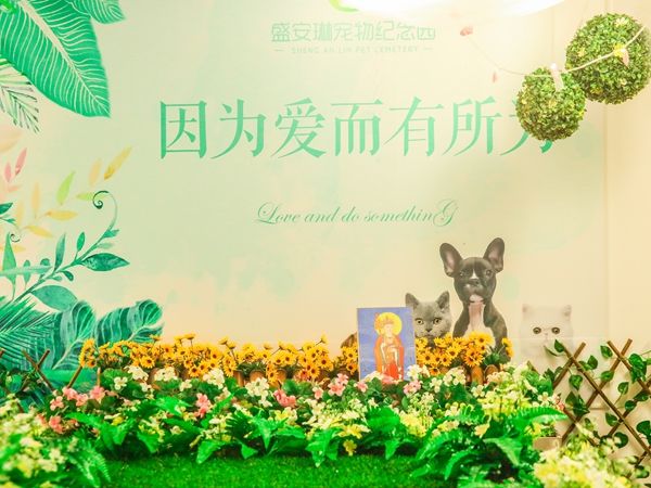 宠物火化