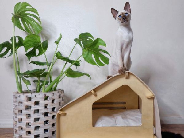 Rawry，宠物窝，宠物小屋，宠物用品，