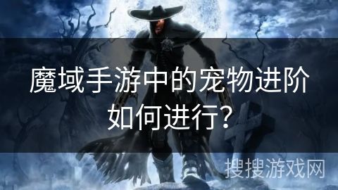 魔域手游中的宠物进阶如何进行？