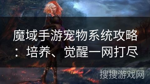魔域手游宠物系统攻略：培养、觉醒一网打尽
