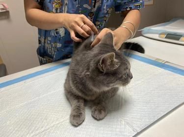 我家宝贝生病去的医院