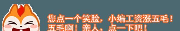台州带狗去餐厅各种被喷, 上海、杭州个别商家都是欢迎宠物去