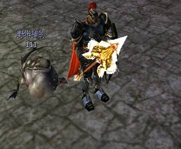 骑士3.0图片5