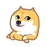 二甲双胍