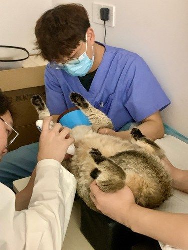 3岁儿子在把医生咬了……
