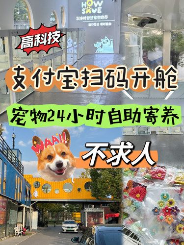 支付宝扫码自助寄养宠物，出差、回老家不求人