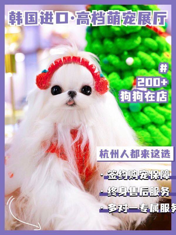 https://qcloud.dpfile.com/pc/yU-X30CBV-XTrMRVm6qG45U9mCgqKaHFXeA2os6tx16x0u4AXbekmmBtP_YQzhAWY0q73sB2DyQcgmKUxZFQtw.jpg