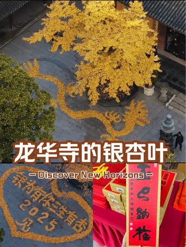 龙华寺的银杏叶